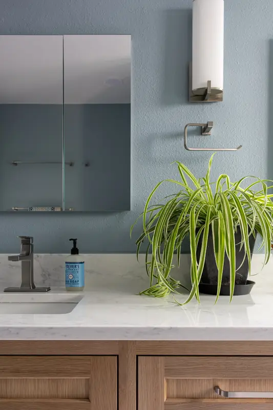Wall sconce, medicine cabinet and vanity counter against the soft blue wall